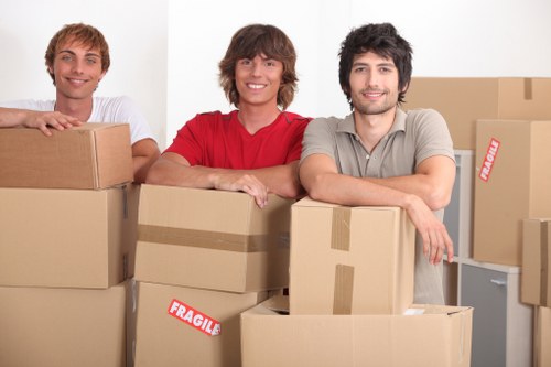 Specialist packing boxes used to protect fragile household belongings